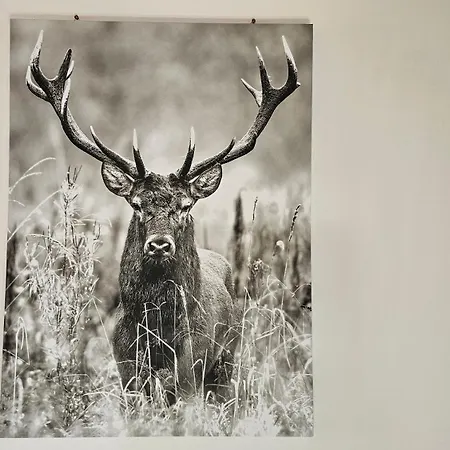 Chalé Christians Alpenparadies *