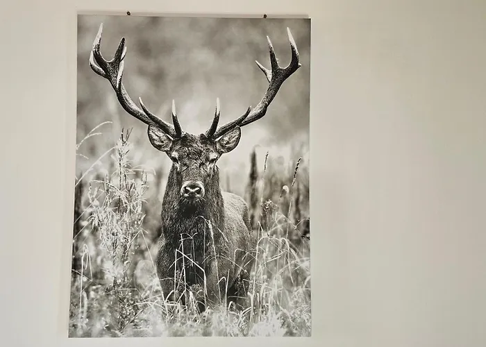 Chalet Christians Alpenparadies *